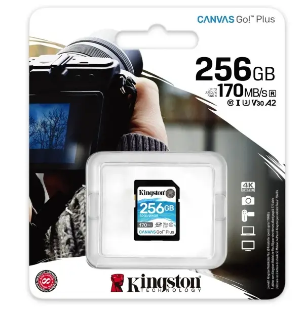 SDG3/256GB MEMORIA CANVAS GO PLUS 256GB